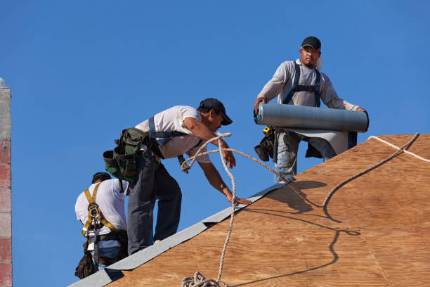 Best Gutter Installation and Roofing  in Runnemede, NJ