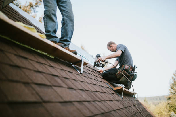 Best Storm Damage Roof Repair  in Runnemede, NJ