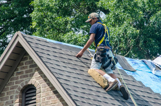 Best Roof Gutter Cleaning  in Runnemede, NJ